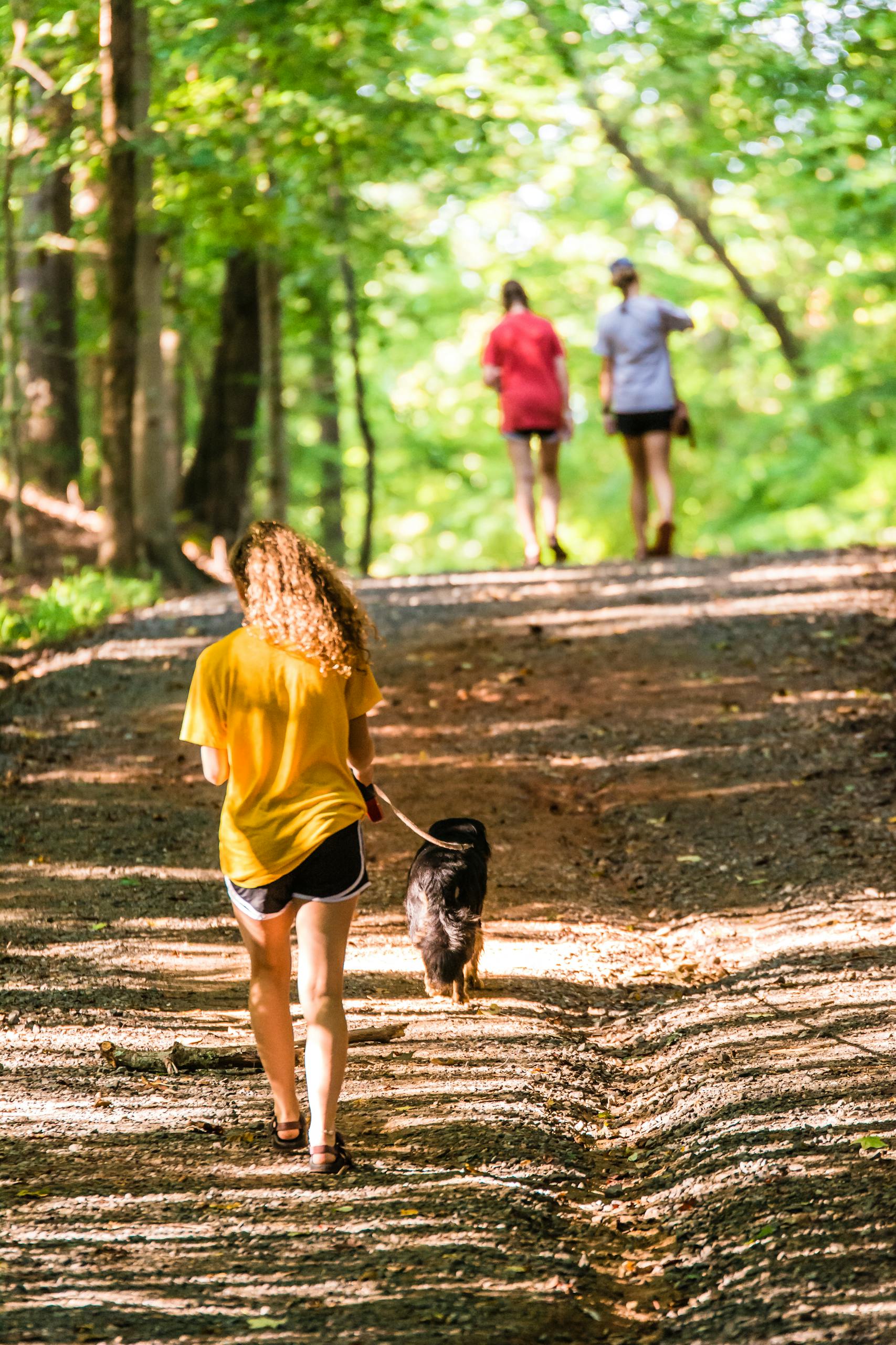 Young woman and friends walking their dogs along a sunny forest trail on a summer day.